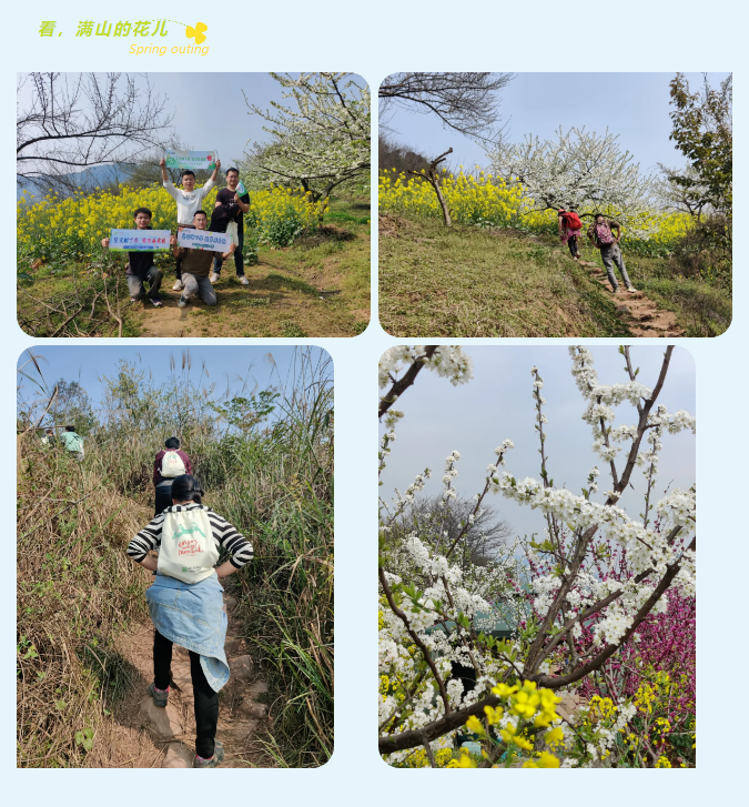 看，滿(mǎn)山的花兒.jpg
